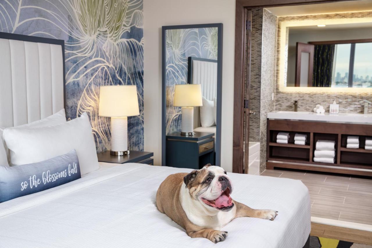 Hotel Indigo Flushing - Laguardia New York Bagian luar foto